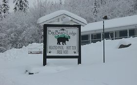 Big Bears Lodge West Dover Exterior photo