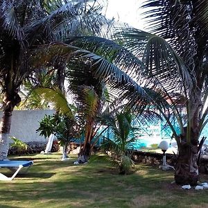 Chrisanns Beach Resort Ocho Ríos Exterior photo