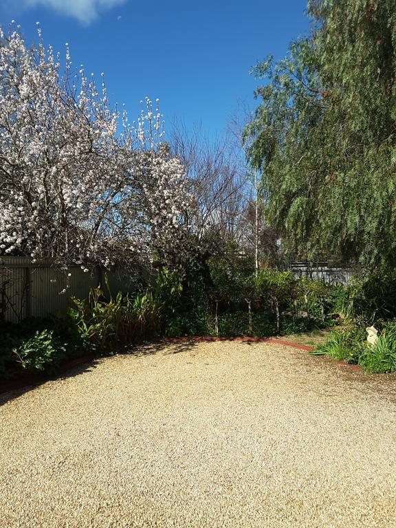 The Dove Cote Bed and Breakfast Tanunda Exterior foto