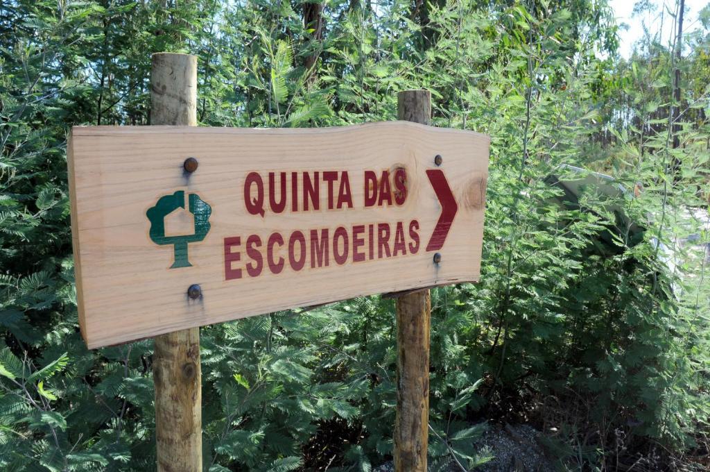 Quinta Das Escomoeiras Celorico De Basto Exterior foto