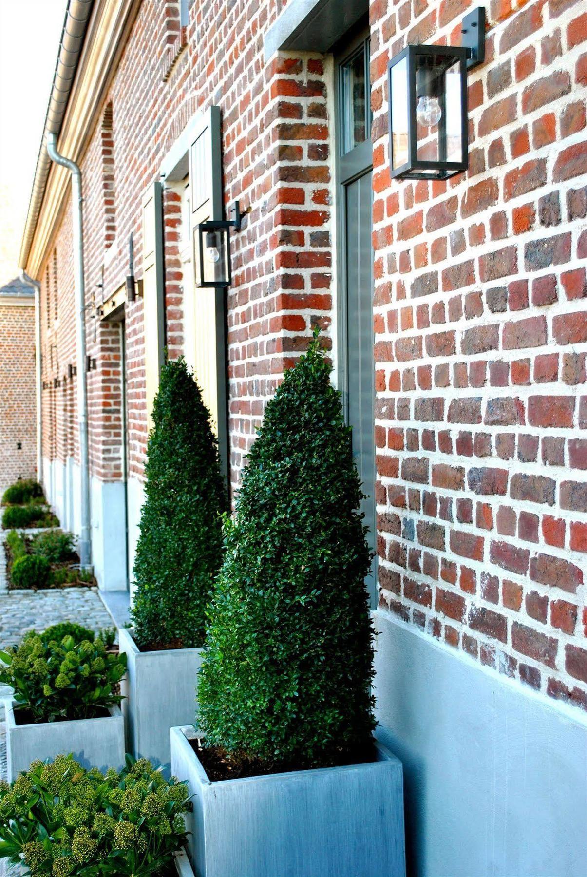 B&B Louis1924 Dilbeek Exterior foto